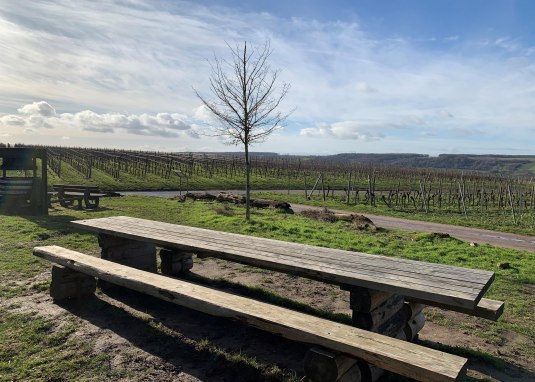 Tisch des Weines an der Weinmeile &copy; Petra Julius/Stadt Ingelheim