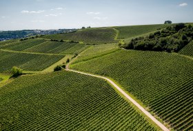 Gau-Bischofsheimer Glockenberg