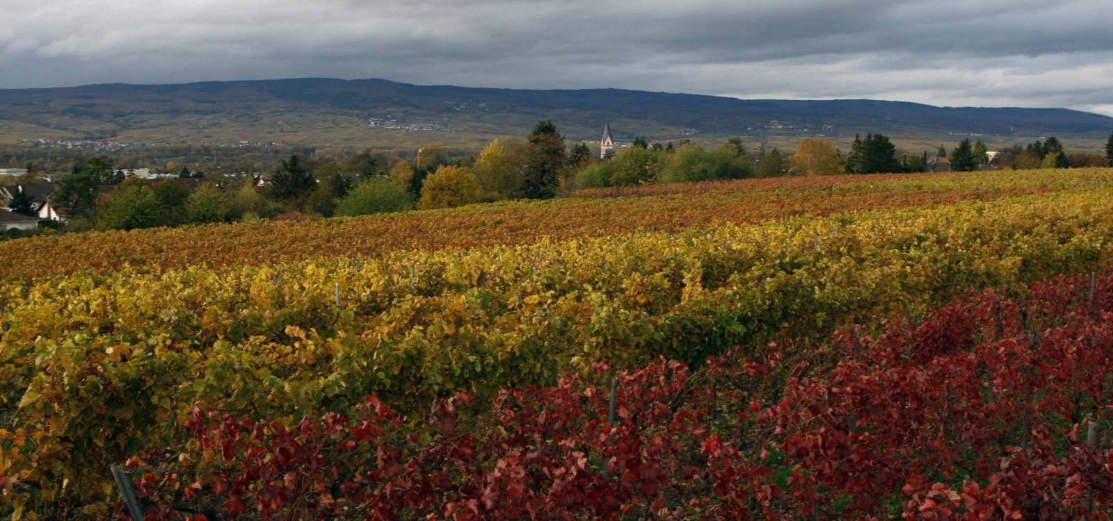 Nieuwe Andreas dorst, &copy; Andreas dorst