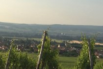 &copy; FamilienWeinGut Feser