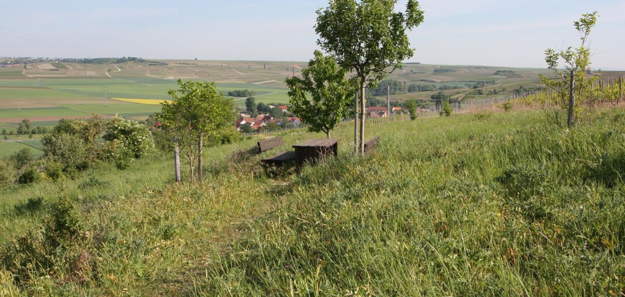 Gr&uuml;nes Klassenzimmer, &copy; Angelika Friedrich