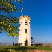 Niersteiner Wartturm &copy; Karl-Georg M&uuml;ller