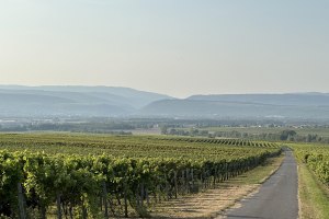 Heilige Berge, &copy; Andreas Reithmeier-Schmitt