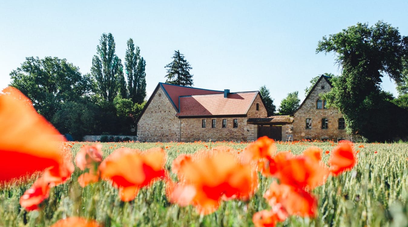 Meadow Mill Kettenheim, &copy; Mathi's meadow mill
