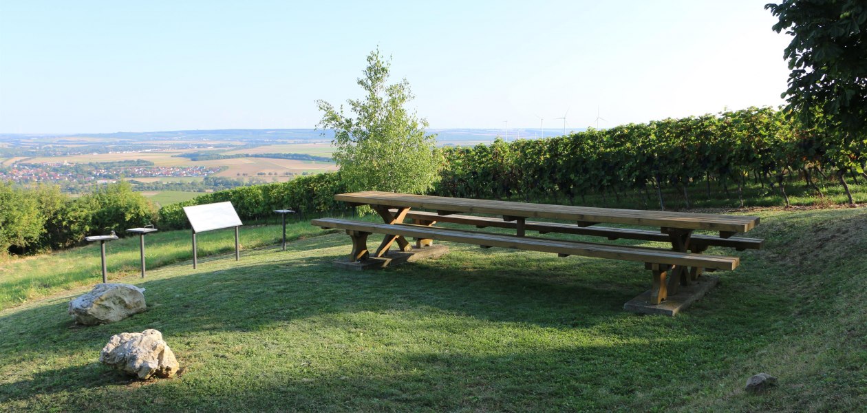 Weinbergs-Spaziergang Schiefster Turm der Welt, &copy; Angelika Friedrich
