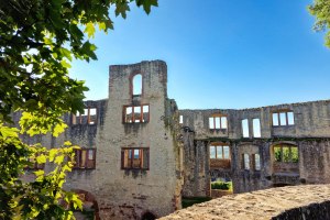 Burgruine Landskron in Oppenheim_1