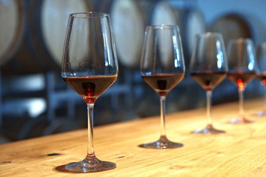 wine tasting
