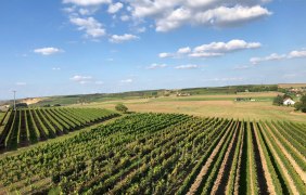 Ausblick vom Wendelsheimer Turm &copy; S. Kemmeter