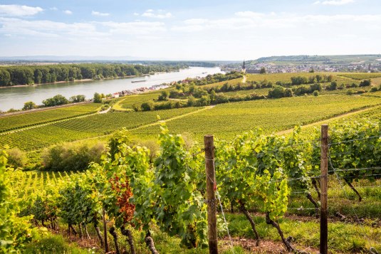 Ausblick am Roten Hang, © Dominik Ketz l RPT