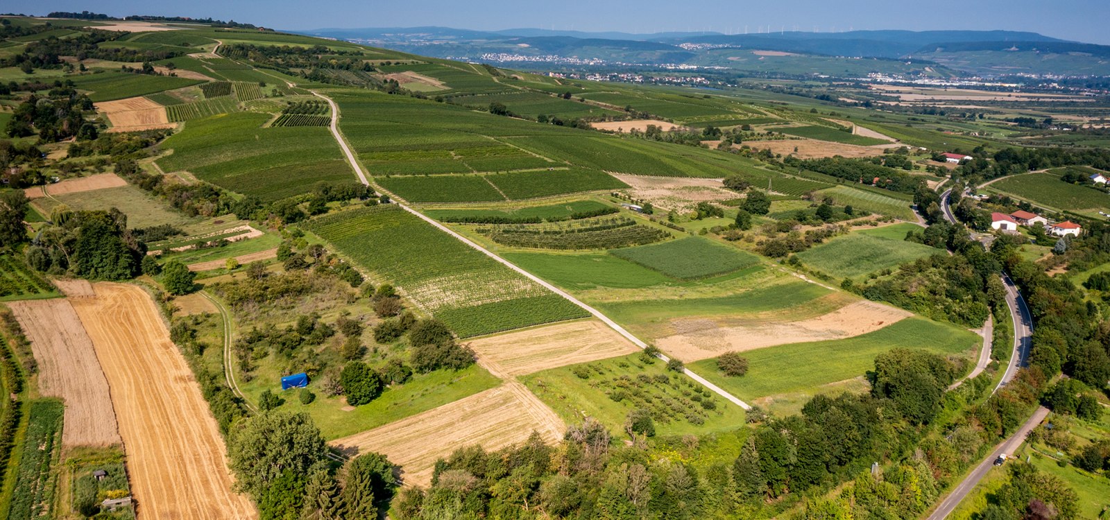 Gau-Algesheimer Goldberg