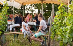St. Albandsfest Bodenheim1