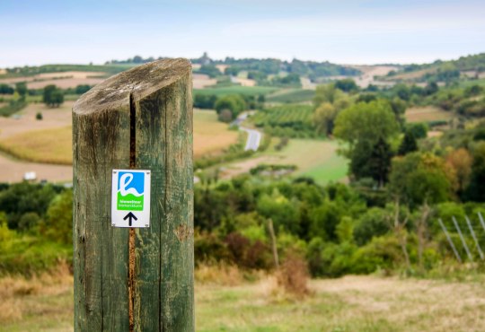 Beliebter Pr&auml;dikatswanderweg mit Startpunkt am Bismarckturm in Ingelheim