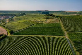 Sulzheimer Schildberg