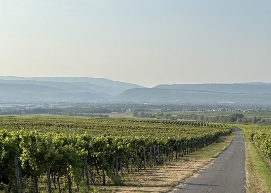 Heilige Berge &copy; Andreas Reithmeier-Schmitt