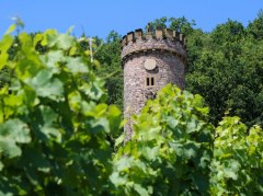 Ajaxturm besondere Orte Rheinhessische Schweiz
