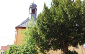 Kirchturm der Kat. Kirche in Friesenheim &copy; Tourismus Service Center der Verbandsgemeinde Rhein-Selz