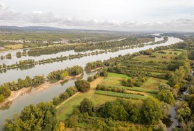 Die Rheinauen bei Ingelheim &copy; &copy; Dominik Ketz