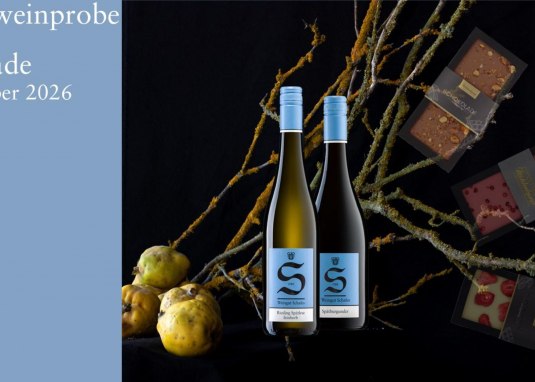 Themenweinprobe Schatzkammer Weine! &copy; Weingut Schales Fl&ouml;rsheim-Dalsheim