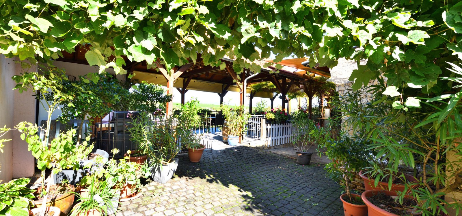 Weinlaube Lich, &copy; Weingut Lich