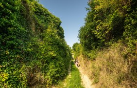 Hiwweltour Alsheimer Hohlwege 2 &copy; Dominik Ketz