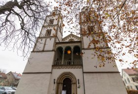 Winterwandern auf dem Rheinterrassenweg