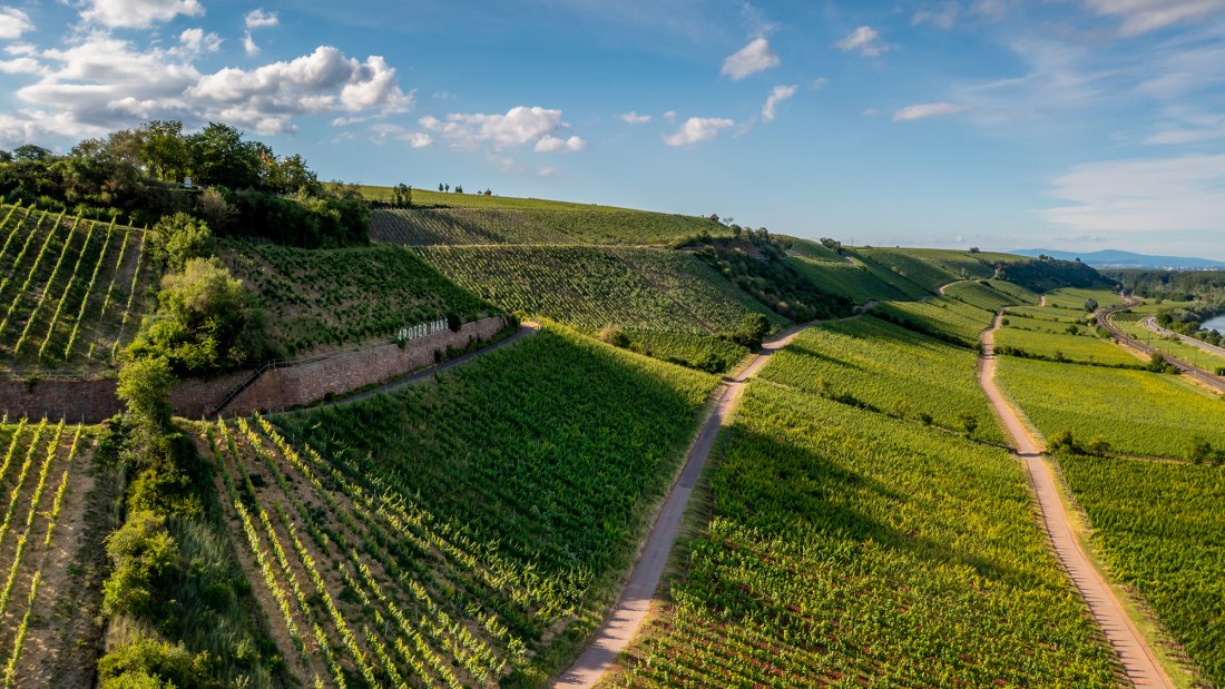 Niersteiner Pettenthal