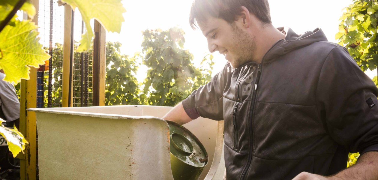 Friday 4, &copy; Weingut Freitag