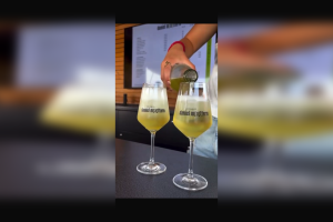 Rheinradeln, &copy; Matthias Funk