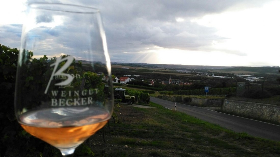 Weingut Becker_Weinglas, &copy; Weingut Becker