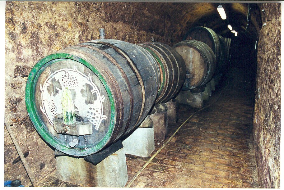 Gewelfde kelder van Pfaff-Weine, &copy; PFAFF WEINE