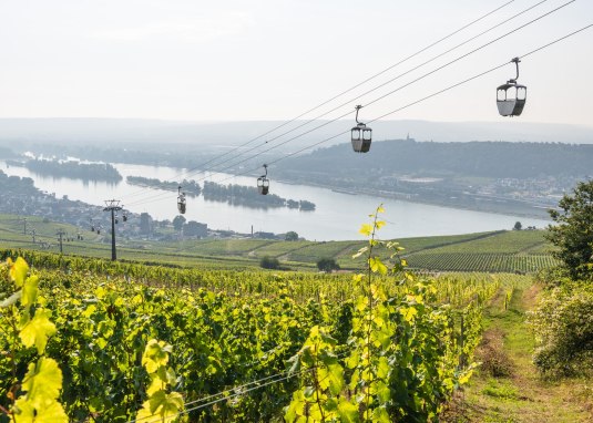 Seilbahn in R&uuml;desheim &copy; Dominik Ketz / Bingen Tourismus & Kongress GmbH