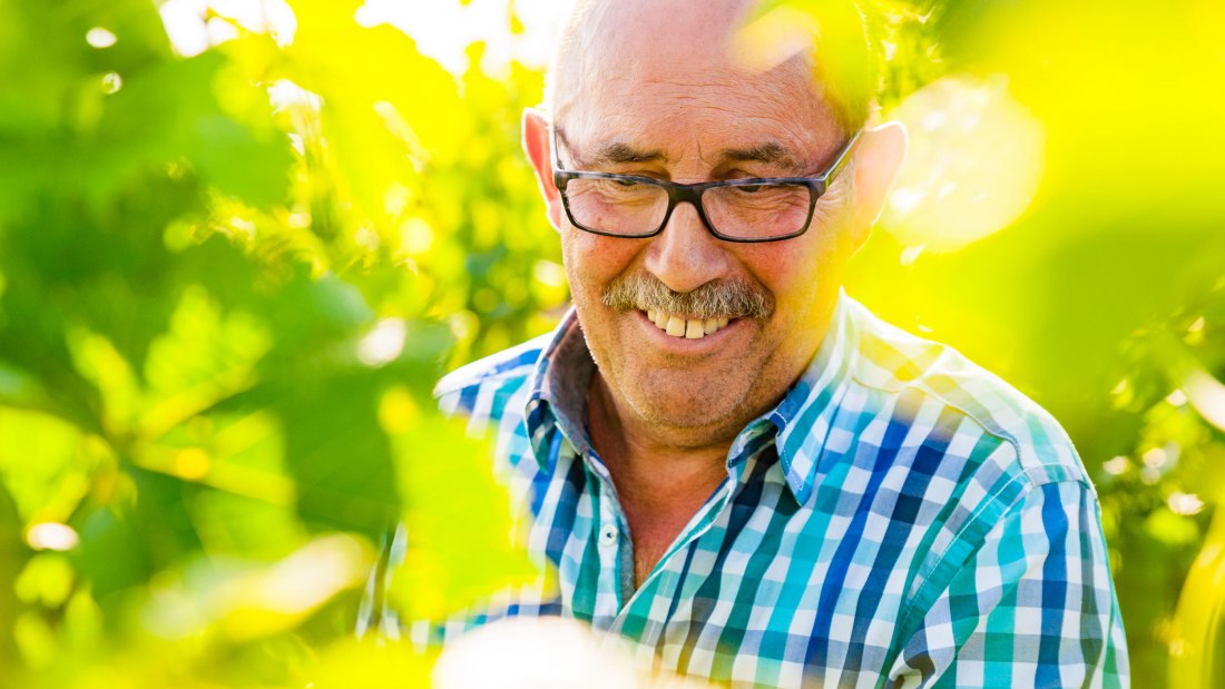 wgt-hammen-5, © Weingut Hammen