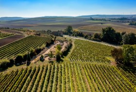 Eckelsheimer Kirchberg