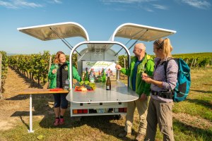 Krimitour mit Karlchen Ingelheim, © Dominik Ketz