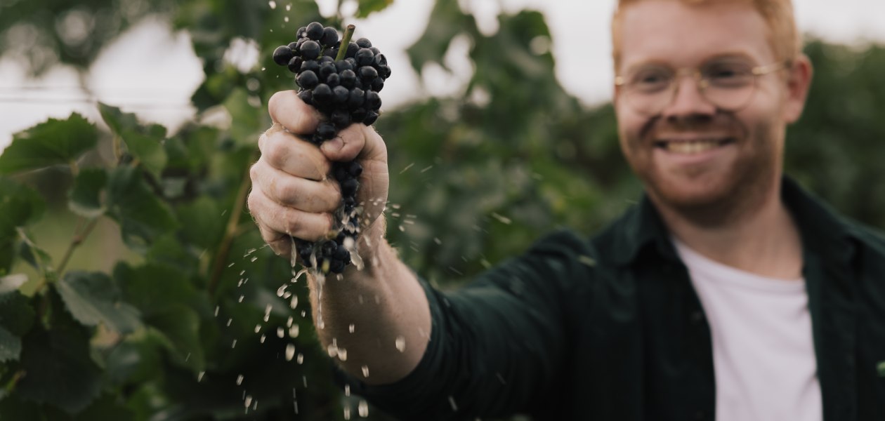 Peter - Pinot - Weingut Dr. Hinkel, &copy; Sven Hasselbach