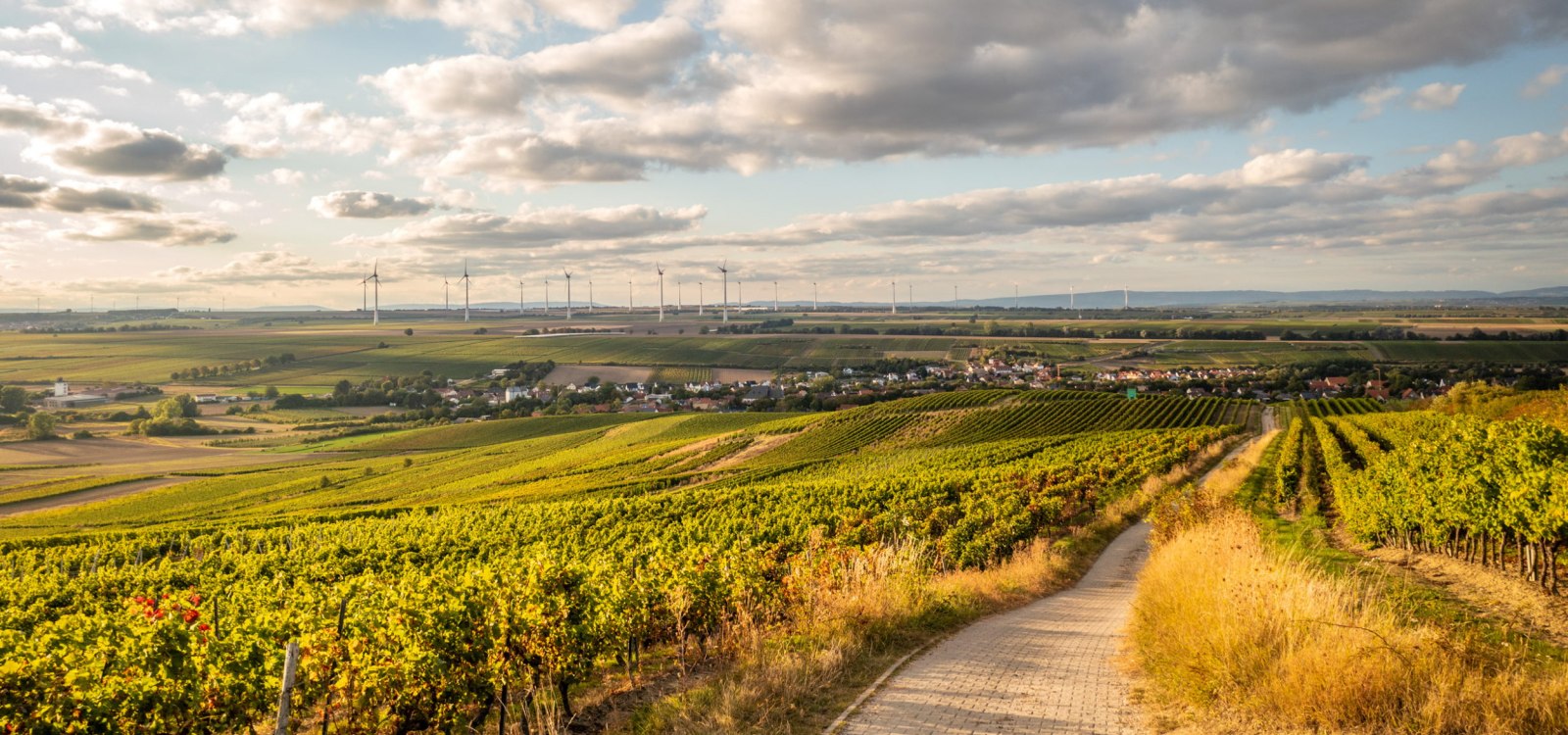 Petersberg, Gau-Odernheim, &copy; Dominik Ketz