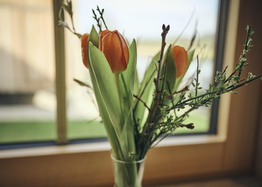 OBS_Nittenau_GIP1575_1600px