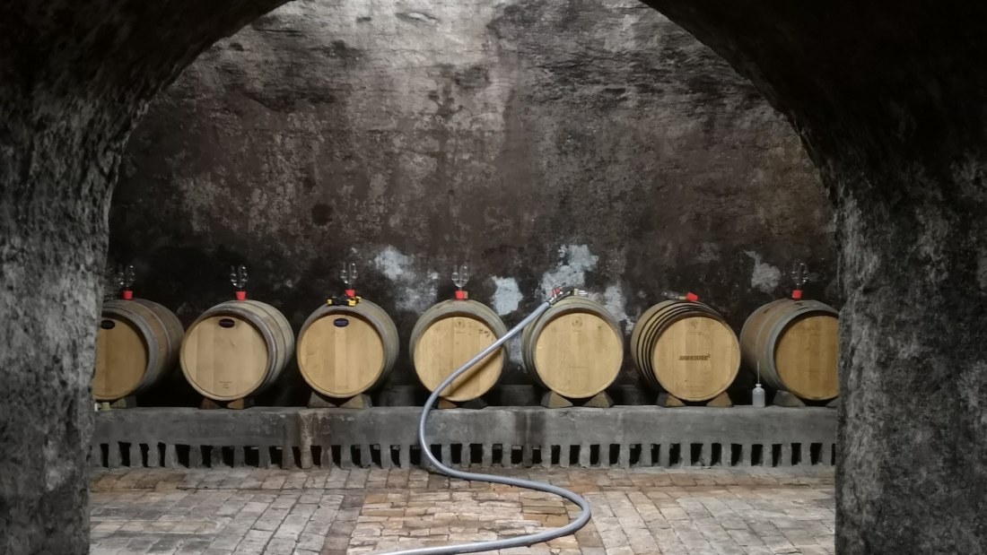 &copy; Weingut Dr. Alex Senfter