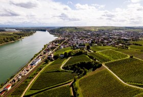 Nierstein_Weinberg