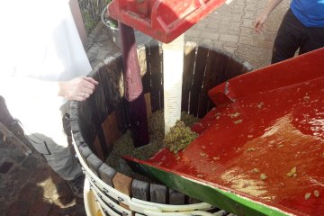 Weingut Tobias Hahn_Presse, &copy; Weingut Tobias Hahn