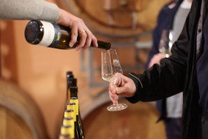 Fr&uuml;hling im Posthof, &copy; Weingut Posthof Doll & G&ouml;th