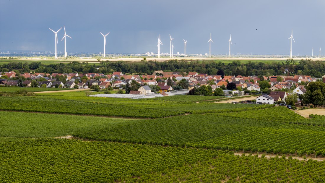 Heppenheimer Affenberg, &copy; Torsten Silz