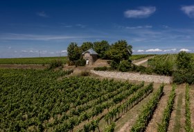 Dorn-D&uuml;rkheimer Hasensprung