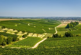 Saulheimer H&ouml;lle &copy; Dominik Ketz - Rheinhessen Touristik GmbH