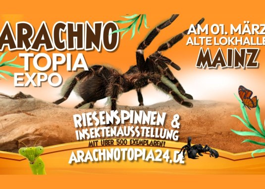 Arachnotopia Expo in Mainz &copy; Jeremy Leidig