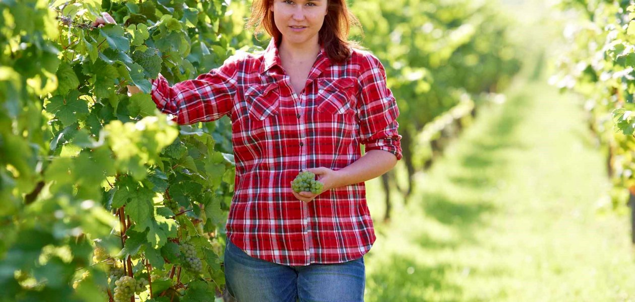 Weingut Wechsler_Weinberg und Winzerin, &copy; Weingut Wechsler