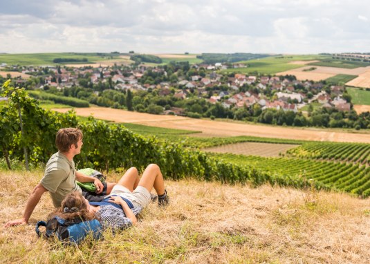 rht-hiwweltouren-2013-098-bismarckturm © Dominik Ketz