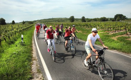 Rheinradeln, &copy; www.inmedia.info