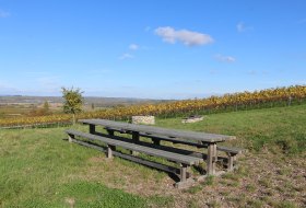 Tisch des Weines &copy; Tourismus GmbH "Im Herzen Rheinhessens"