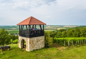 Hiwweltour Aulheimer Tal /Kuckuksturm Bornheim &copy; Dominik Ketz